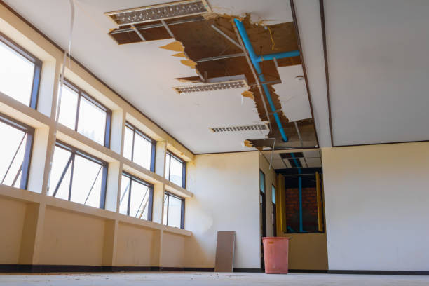 Best Ceiling water damage repair  in Thomson, GA