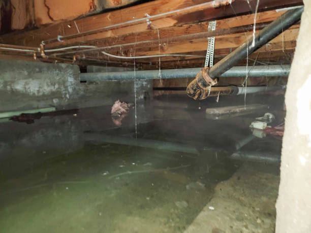 Best Water damage contractors near me  in Thomson, GA