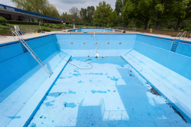 Best Mold removal after water damage  in Thomson, GA