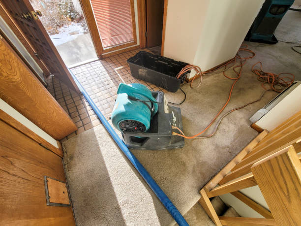 Best Water damage restoration specialists  in Thomson, GA