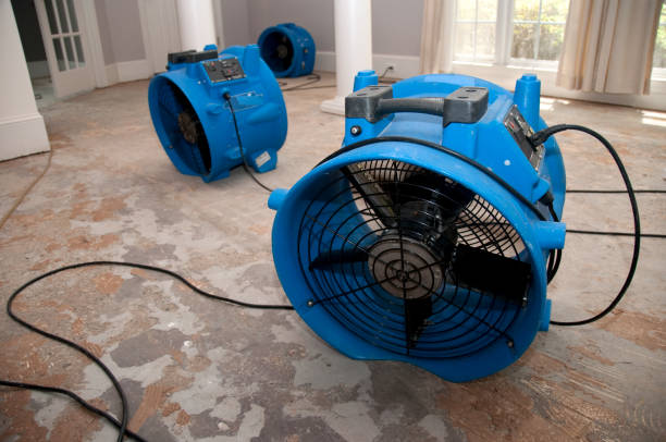 Best Flood restoration services  in Thomson, GA