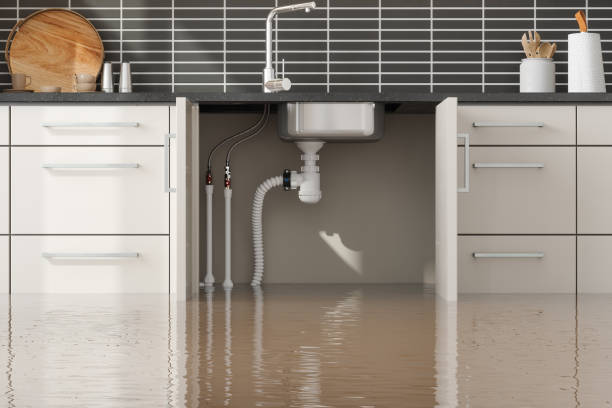 Best Water damage cleanup near me  in Thomson, GA