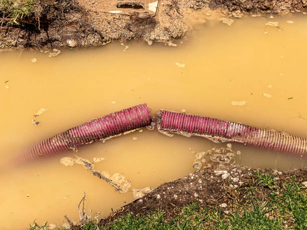 Best Commercial water damage restoration  in Thomson, GA