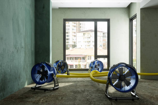 Best Basement water damage restoration  in Thomson, GA