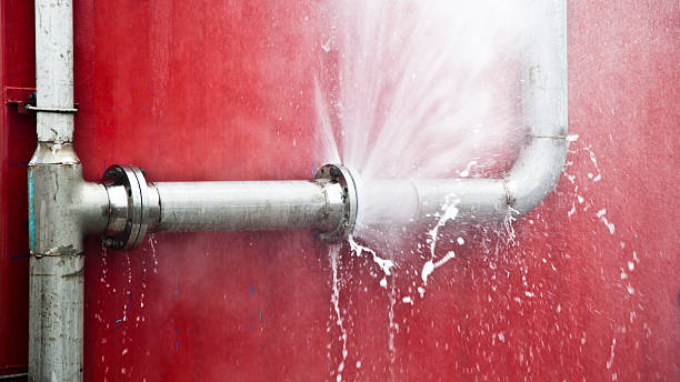 Best Carpet water damage restoration  in Thomson, GA