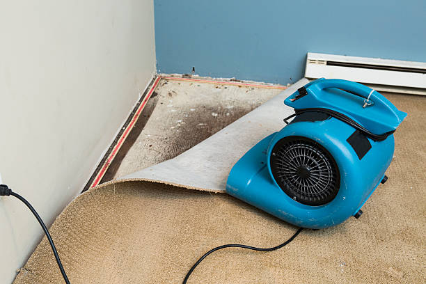Reliable GA Water damage restoration Solutions